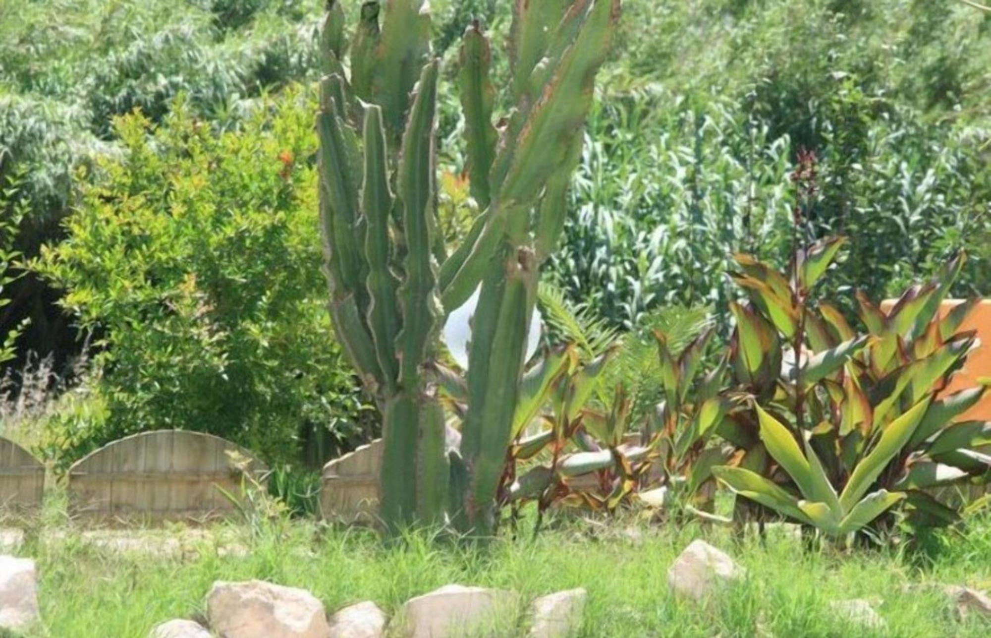 Villa El Minero Gonnesa Exterior photo